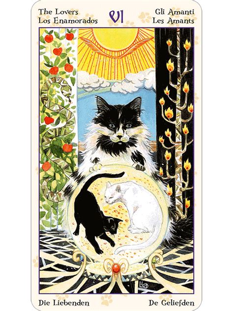 The Pagan Feline Tarot: A Tool for Self-Reflection and Personal Growth